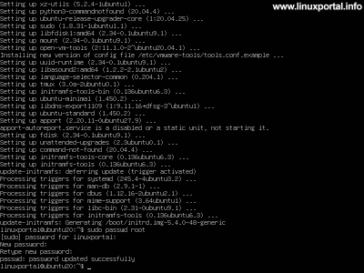 Minimal server - Ubuntu 20.04 LTS (Focal Fossa) installation - Root password setting