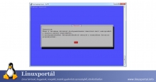 Whiptail Demo Linux Portal