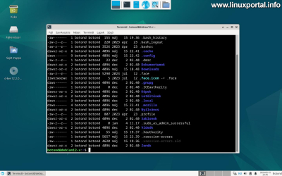 XFCE - Default Applications - Xfce4 terminal emulator