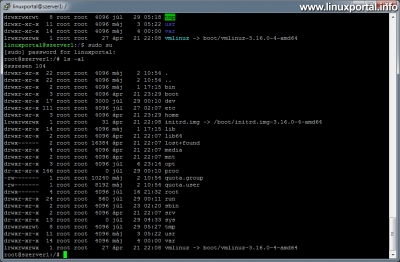 Using Colors in the Terminal - Single color root ls command output by default