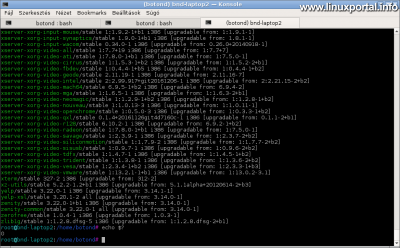 Debian APT csomagkezelő szimulációs futtatása