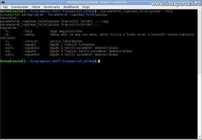 Example Program - Flexible Parameter Processing - Show Help