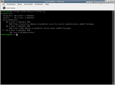 Query packet information with apt-cache policy