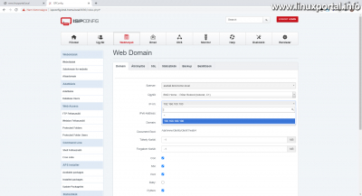 ISPConfig - Webhelyek - weboldal módosítása - IP-cím kiválasztása
