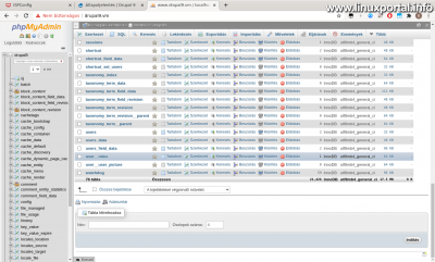 Drupal 9 database size