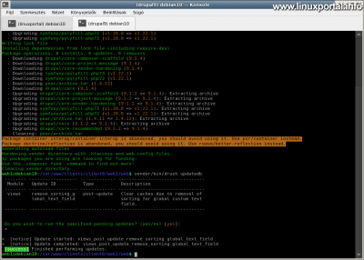 Update Drupal 9 database with the drush command