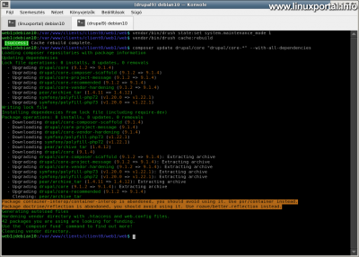 Upgrading a Drupal 9 base system with the composer command