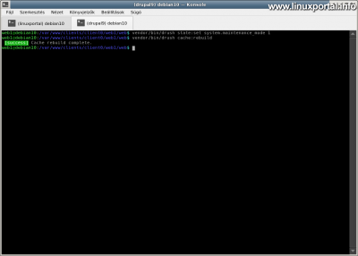 Drupal 9 - Enable maintenance mode with the drush command