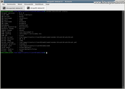 Check Drupal 9 base system with the drush command