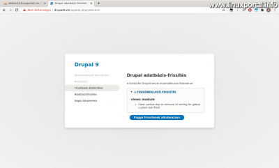 Drupal 9 - Update database from the web - Update overview