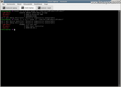 Query USB root hub data