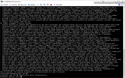 Teljes disztribúció frissítés - immár a Debian 10 csomagtáraiból