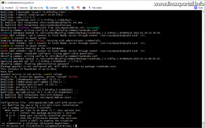 Konfiguráció ütközés: MariaDB