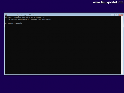 VirtualBox - Installing Windows 11 - Running regedit