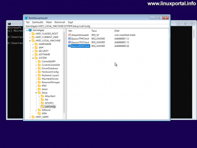 Windows 11 - Regedit - New Setup - BypassRAMCheck