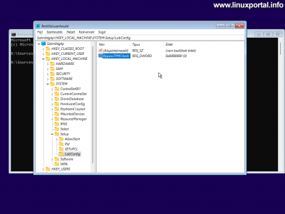 Windows 11 - Regedit - New Setup - BypassTPMCheck