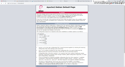 The Apache page also comes to the IP address
