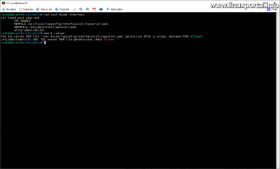 Monit - SSL permission hiba