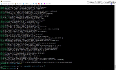 The simulation of updating packages