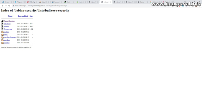 Debian 11 (Bullseye) Security package link