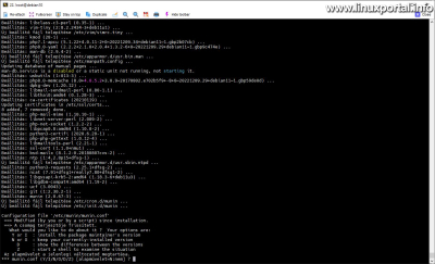 Configuration conflict: munin.conf