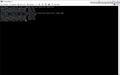 Storing checksums of multiple files at once in one md5 file