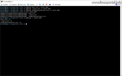 Specifying files with different paths to the md5sum command