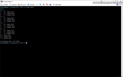 Displaying the directory tree structure using the tree command