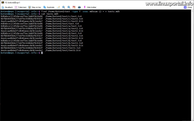 Writing batch summary values ​​of files to an md5 file with absolute paths